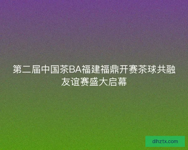 第二届中国茶BA福建福鼎开赛茶球共融友谊赛盛大启幕